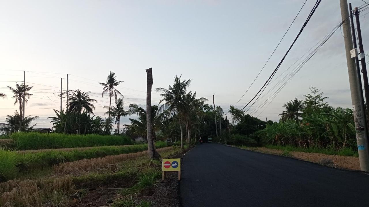 Neny's * Saba
