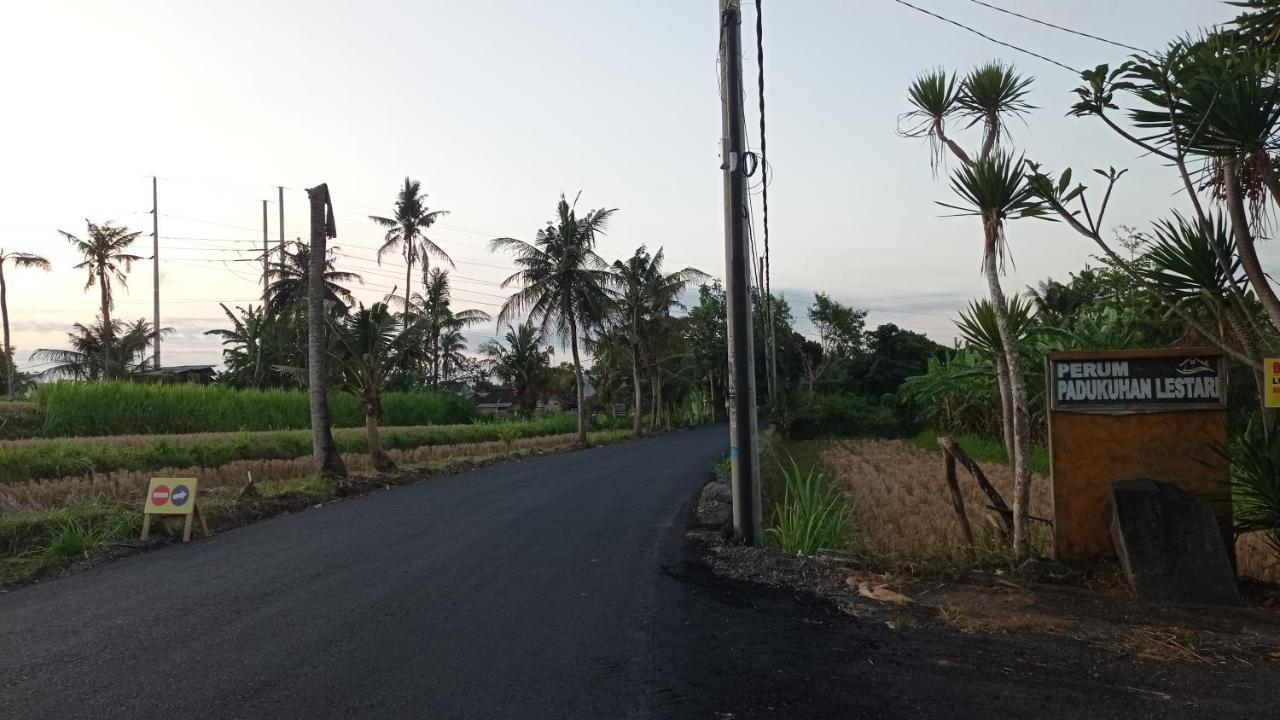 Neny's Saba