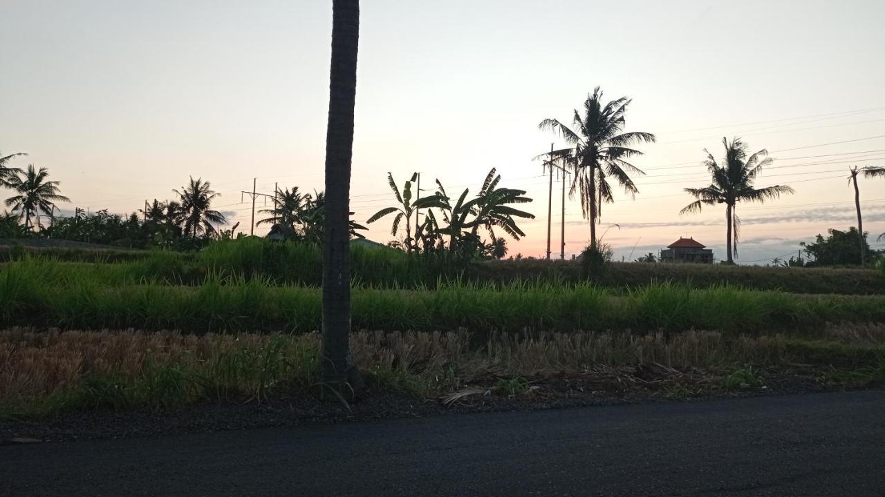 Neny's * Saba